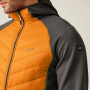 náhled REGATTA Andreson VIII Hybrid oranžová pánská outdoor bunda