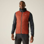 náhled REGATTA Andreson Hybrid červená pánská outdoor bunda