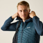 náhled REGATTA Andreson Hybrid modrá pánská outdoor bunda