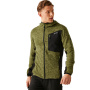 náhled REGATTA Alven zelená pánská funkční outdoor mikina